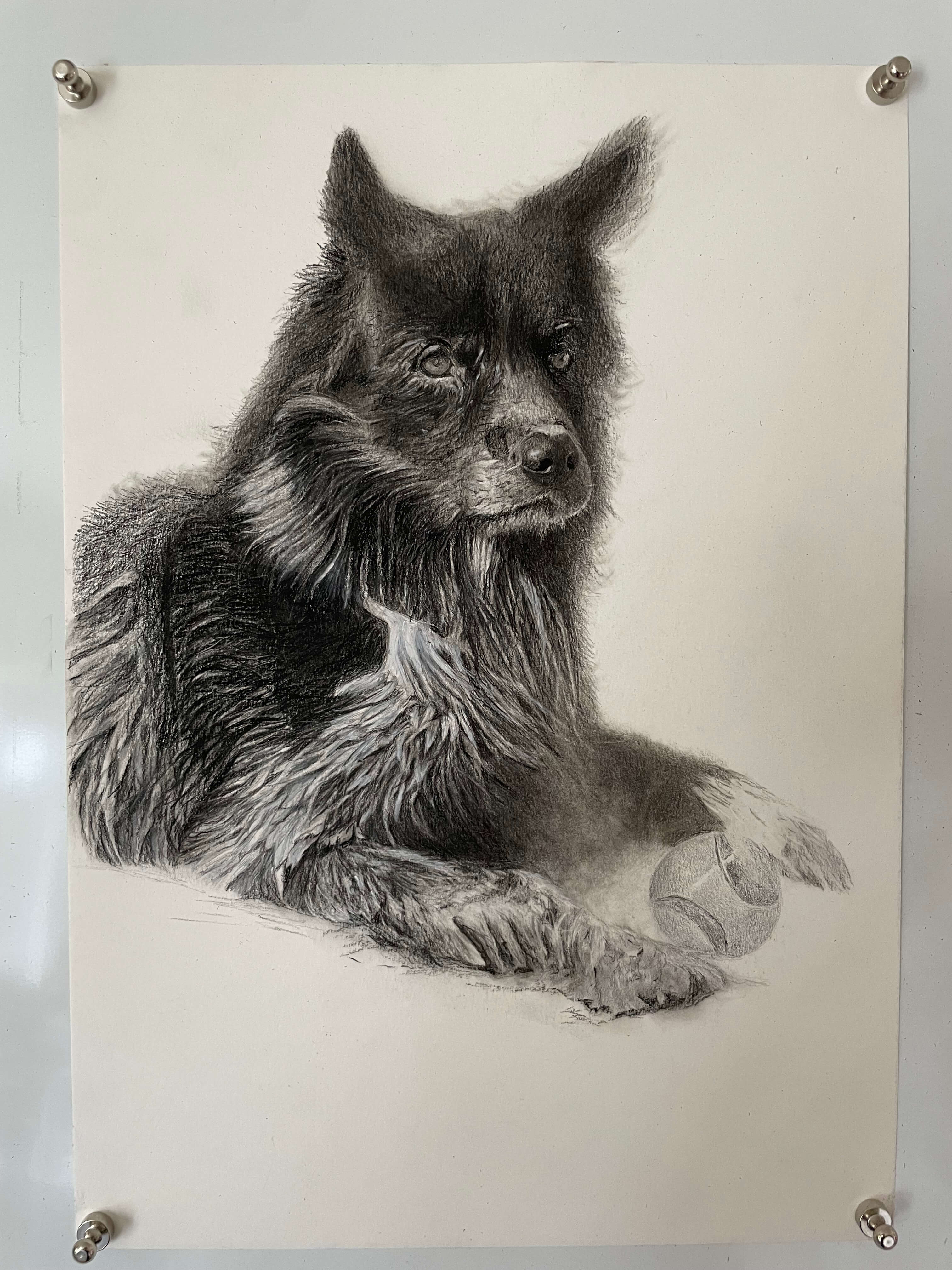 Kohle- und Graphitzeichnung