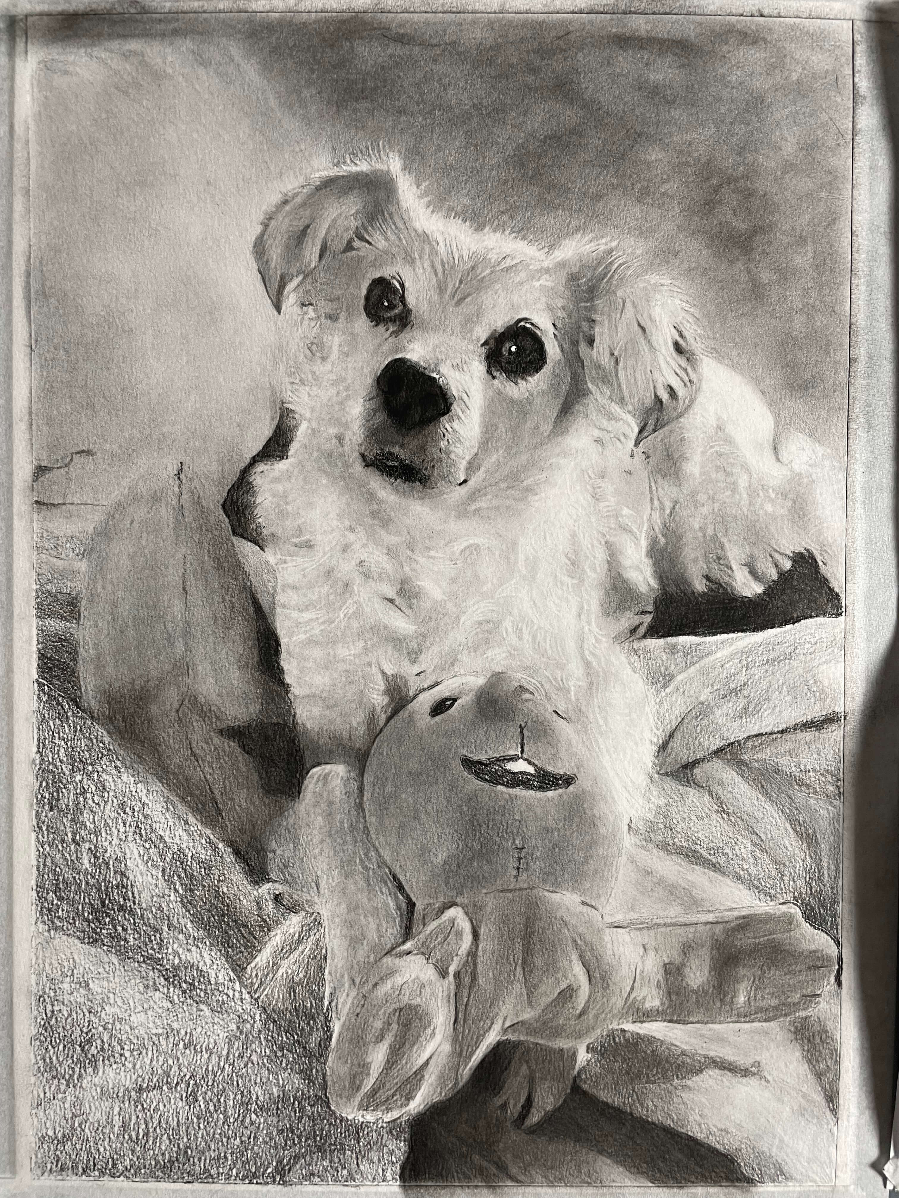 Kohle- und Graphitzeichnung