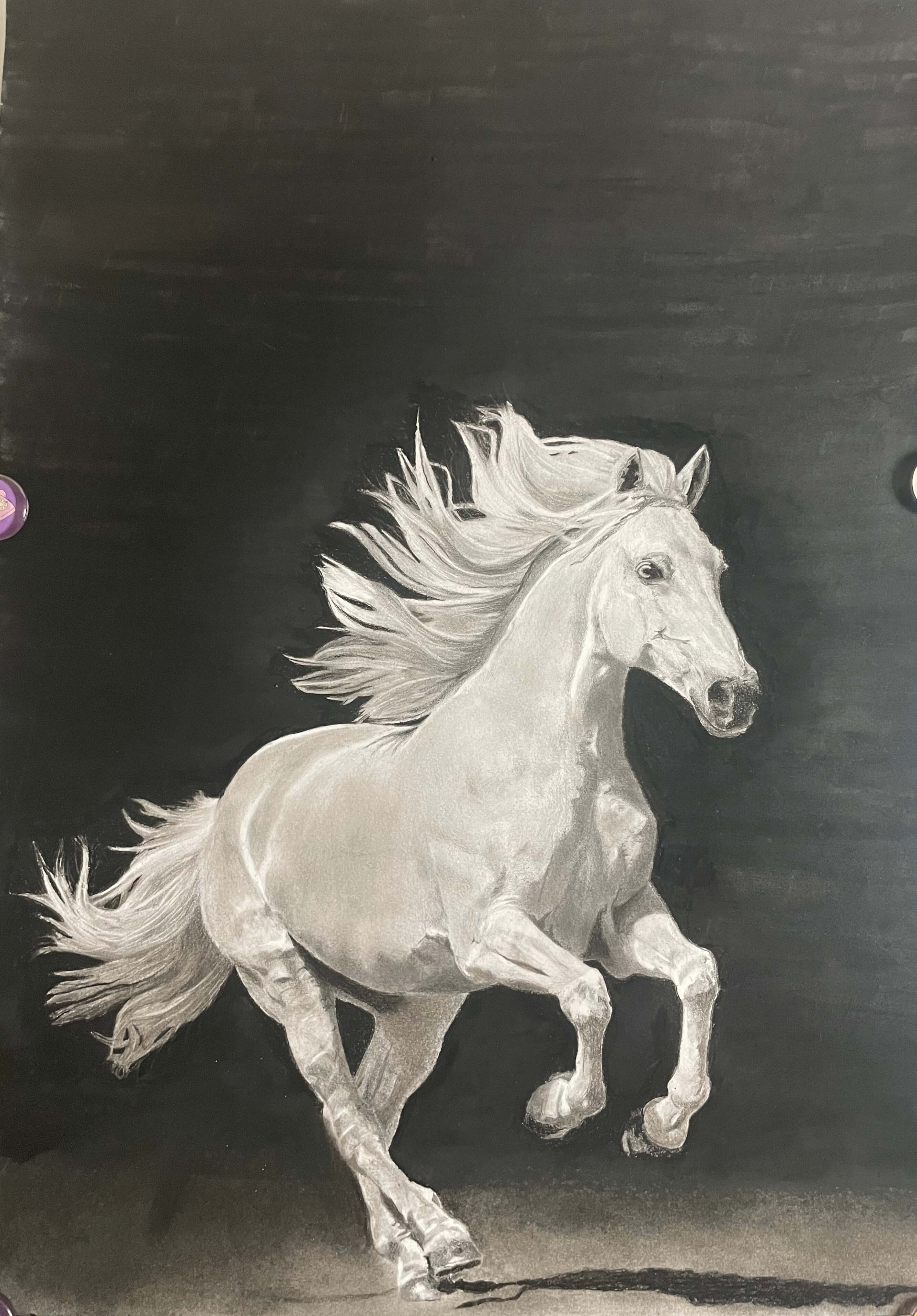 Kohle- und Graphitzeichnung